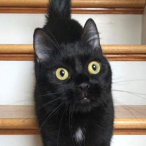 Meet your Posher, Emma